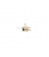 PENDIENTES ORO 18KT CON CIRCONITAS